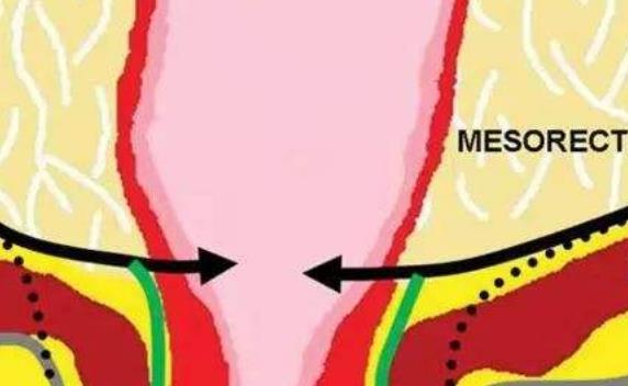 男性保健身體要趁早 推薦10種有助于健康的食物