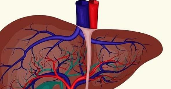 男性保健身體要趁早 推薦10種有助于健康的食物