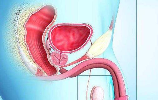 男性保健身體要趁早 推薦10種有助于健康的食物