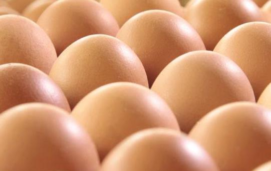 男性備孕要做好飲食調理 推薦4種食物可以加強生育能力