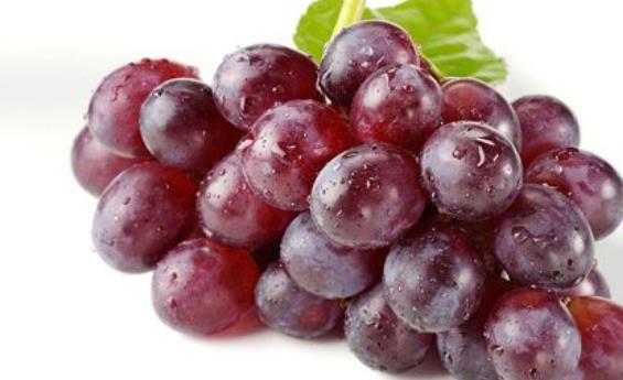 男性健康很重要 這八種食物呵護男性健康