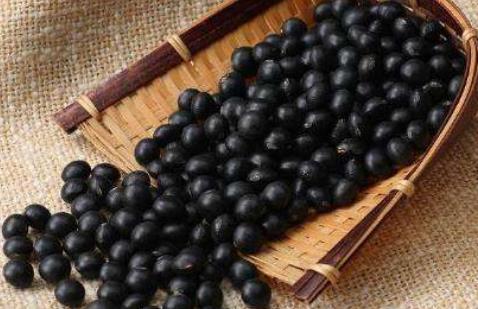 附睪炎疾病發生之后影響了患者的健康 這4個原因容易引發附睪炎