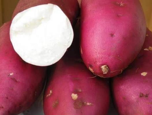 男人腎最好 補腎壯陽要跟上