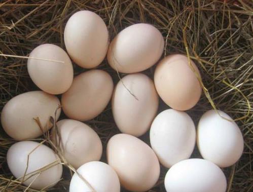 陽痿判斷根據這三點 別陷入誤區