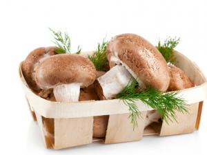 香菇萃取物可以預防宮頸癌