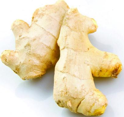 ���p��ɫ�س���