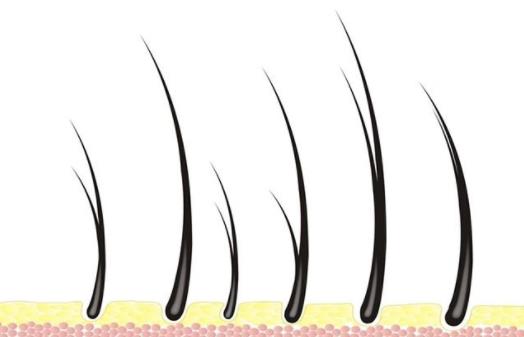 女性剃掉陰毛好嗎?女人私處體毛有何作用?女人私處陰毛多正常嗎