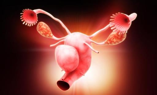 慢性附件炎能治好嗎?慢性附件炎的病因是什么