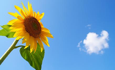 高催乳素血癥的癥狀有哪些?高催乳素血癥嚴重嗎