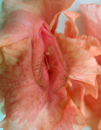 Ů��ꎲ��挍��Ƭ