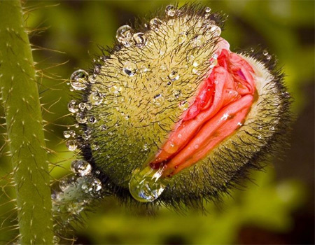 Ů��ꎲ��挍��Ƭ