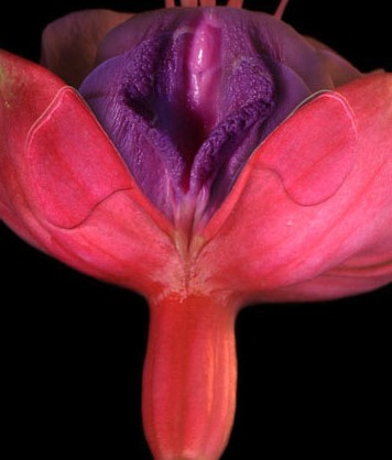 Ů��ꎲ��挍��Ƭ