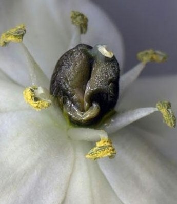 Ů��ꎲ��挍��Ƭ