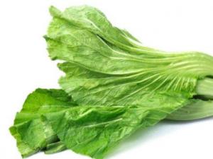 ?哺乳能吃薺菜嗎 哺乳期精選食譜推薦