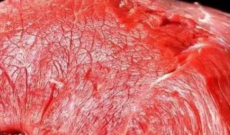 卵子質量的好壞是影響輔助生殖 推薦5種提高卵子質量的食物