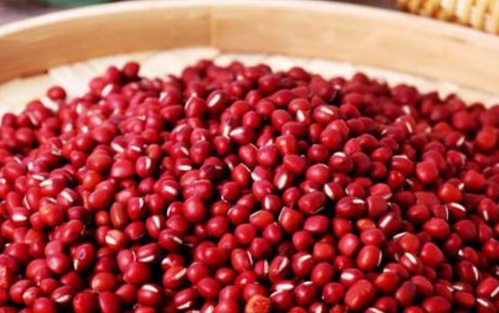 紅豆是我們常吃的粗糧之一 女性吃紅豆的四大好處