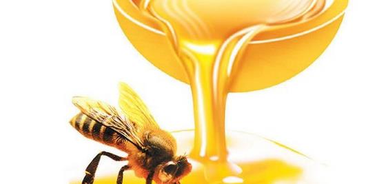 我們都知道蜂蜜是一種很好的食品 女人吃蜂蜜的6大功效