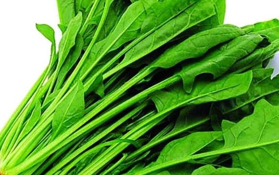 很多年輕人喜歡生吃蔬菜的方式 夏季女性不宜這樣吃蔬菜