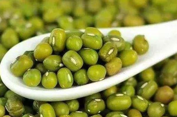 豆類的營養豐富 夏季女性適合多吃6種豆