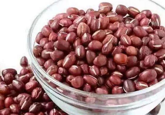 豆類的營養豐富 夏季女性適合多吃6種豆