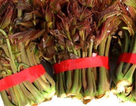 夏季總是容易疲勞 10種食物吃掉身體疲勞