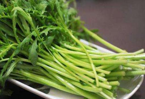 夏季天氣炎熱身體會出現很多不適癥狀 女人們夏天吃的6種蔬菜