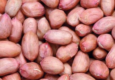 盤點(diǎn)花生的8大營(yíng)養(yǎng)功效 花生營(yíng)養(yǎng)也是多樣