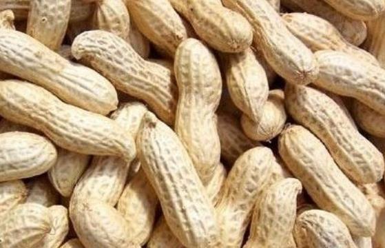 盤點(diǎn)花生的8大營(yíng)養(yǎng)功效 花生營(yíng)養(yǎng)也是多樣