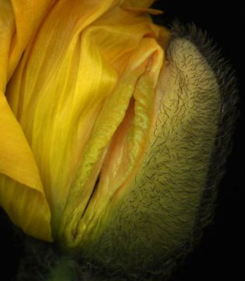 Ů����ֳ��11�N�DƬ��11�NŮ����ֳ�������w�D