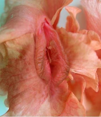 Ů����ֳ��11�N�DƬ��11�NŮ����ֳ�������w�D