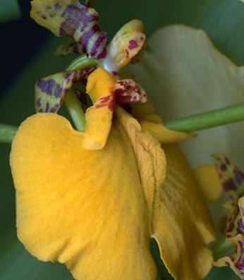 Ů����ֳ��11�N�DƬ��11�NŮ����ֳ�������w�D