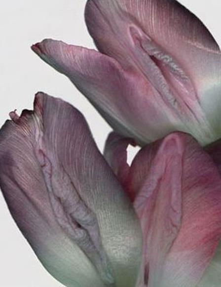 Ů����ֳ��11�N�DƬ��11�NŮ����ֳ�������w�D