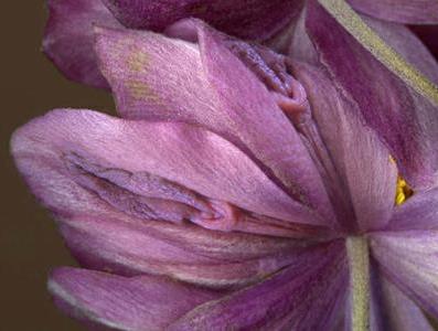 Ů����ֳ��11�N�DƬ��11�NŮ����ֳ�������w�D