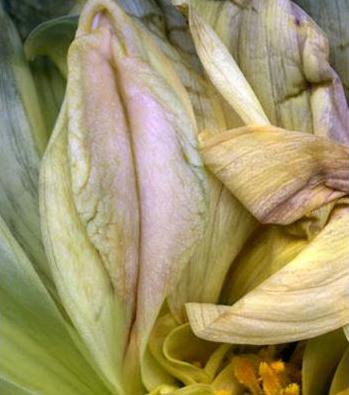 Ů����ֳ��11�N�DƬ��11�NŮ����ֳ�������w�D