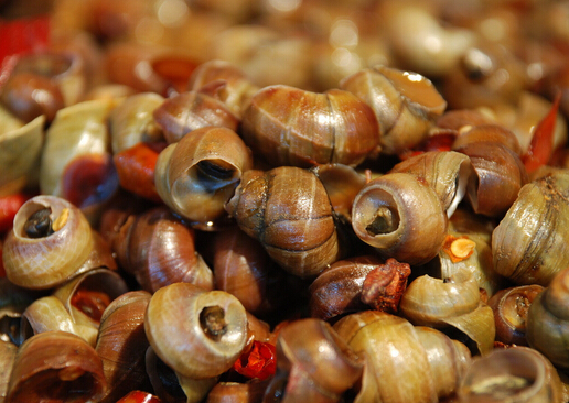 ����ϴ�����⣿������������