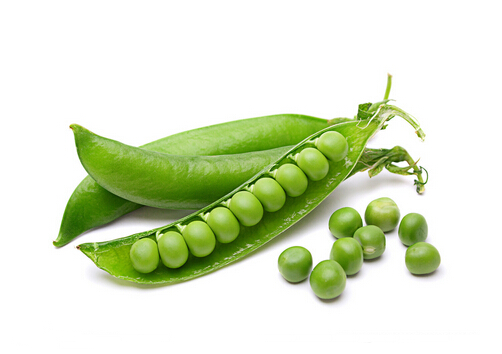 �㶹�ĠI�B�rֵ-�㶹������