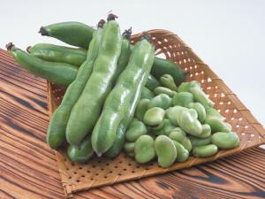 蠶豆的做法-蠶豆的營養價值