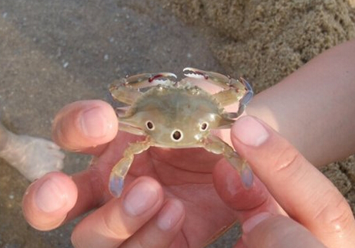 �t������з�ĠI�B(y��ng)�r(ji��)ֵ-�t������з������