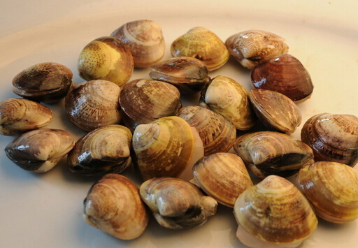 �ĸ�ĠI�B�rֵ-�ĸ������