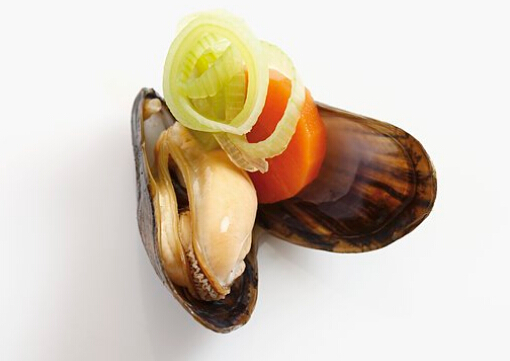 貽貝的簡介-貽貝的做法