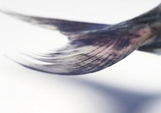 �~βҲ����ζ�����~β��������