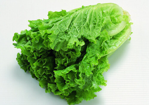 �����O��֭������-���������o�Μp��