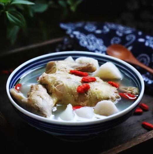 鴿子湯怎么燉不油?鴿子湯的燉法