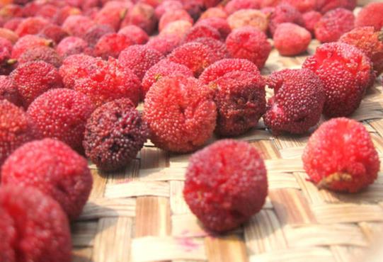 泡楊梅酒用什么楊梅最好?泡楊梅酒泡久了有毒嗎?