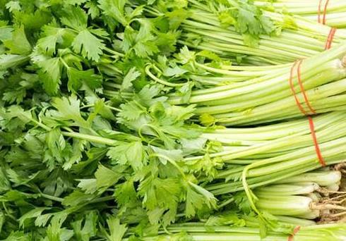 水芹菜為什么要焯水?水芹菜焯水需要多長時間