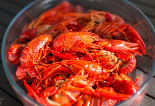 小龍蝦煮多久才熟?小龍蝦炒之前需要用開水焯一下嗎?