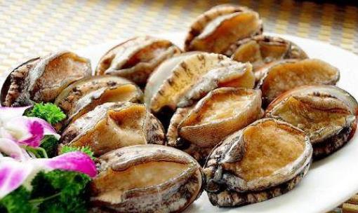 新鮮鮑魚蒸幾分鐘口感好 新鮮鮑魚冷水煮還是熱水煮