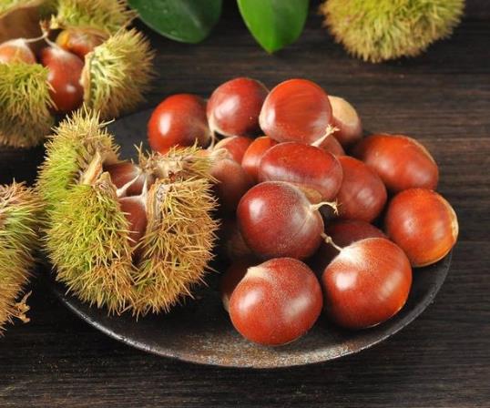 烤箱烤板栗要用什么火?烤板栗的具體做法