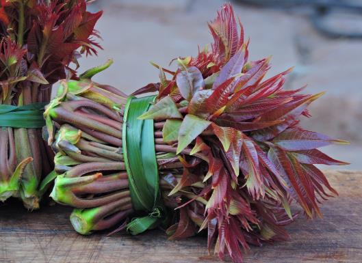 香椿曬干后怎么吃?香椿怎么做好吃