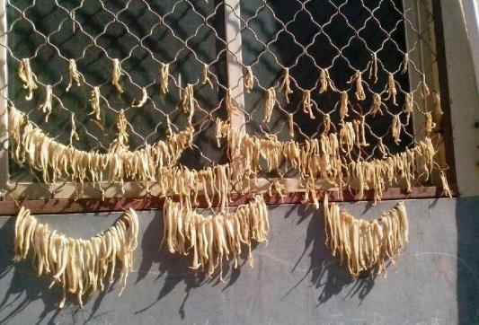 腌蘿卜干要腌多長時間才能曬?綠蘿卜怎么做成蘿卜干